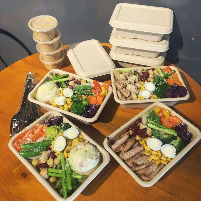 Rectangle eco friendly biodegradable food packaging containers takeaway cornstarch disposable food container