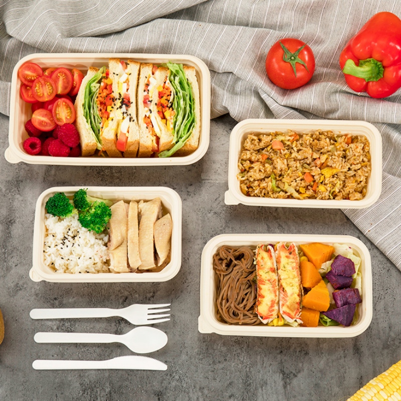 Rectangle eco friendly biodegradable food packaging containers takeaway cornstarch disposable food container