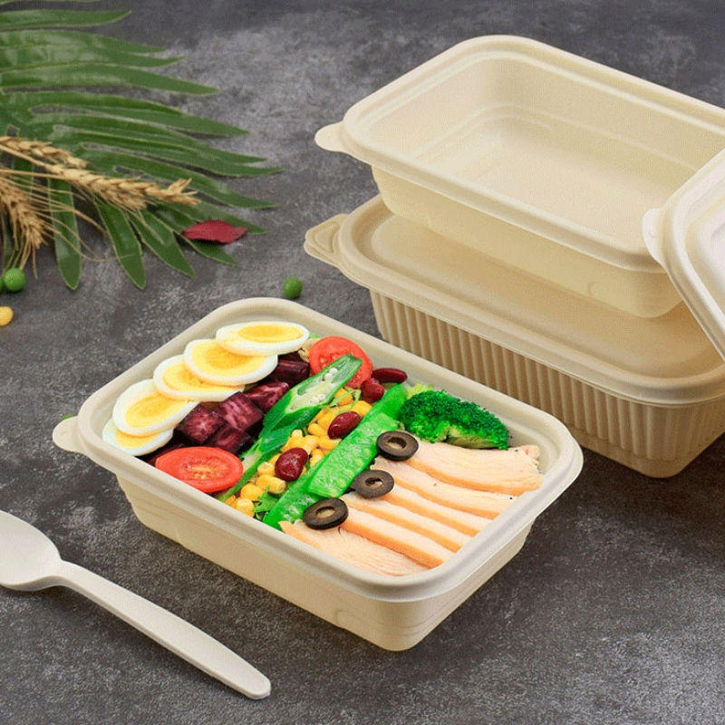 Custom size food box compostable disposable fast food container for bento shop takeaway cornstarch biodegradable food containe