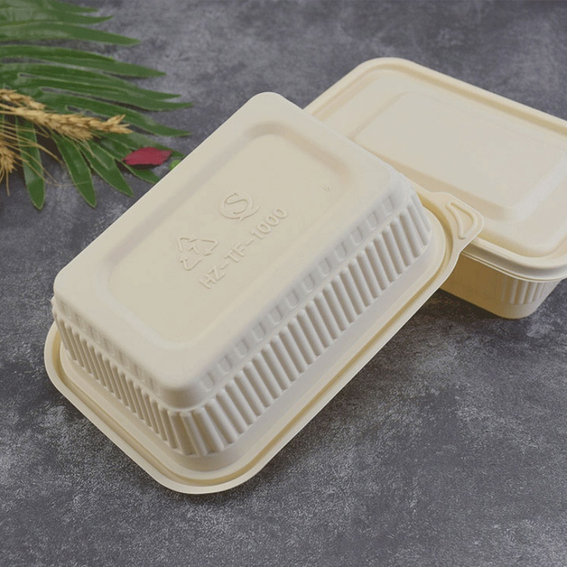 Custom size food box compostable disposable fast food container for bento shop takeaway cornstarch biodegradable food containe