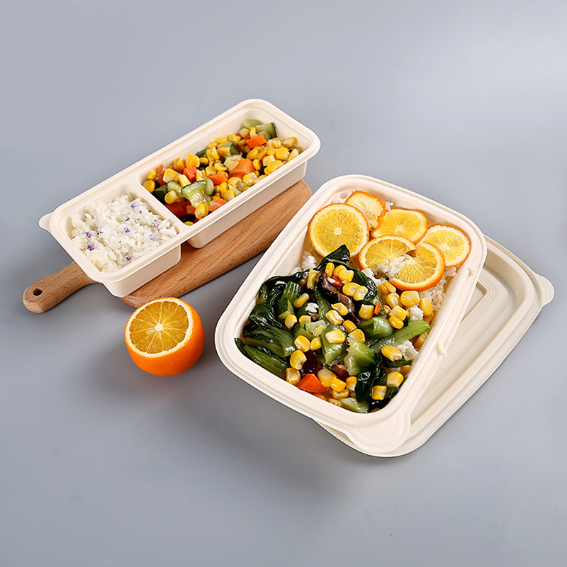 Eco friendly BPA free disposable bento lunch box takeaway packaging box biodegradable food container
