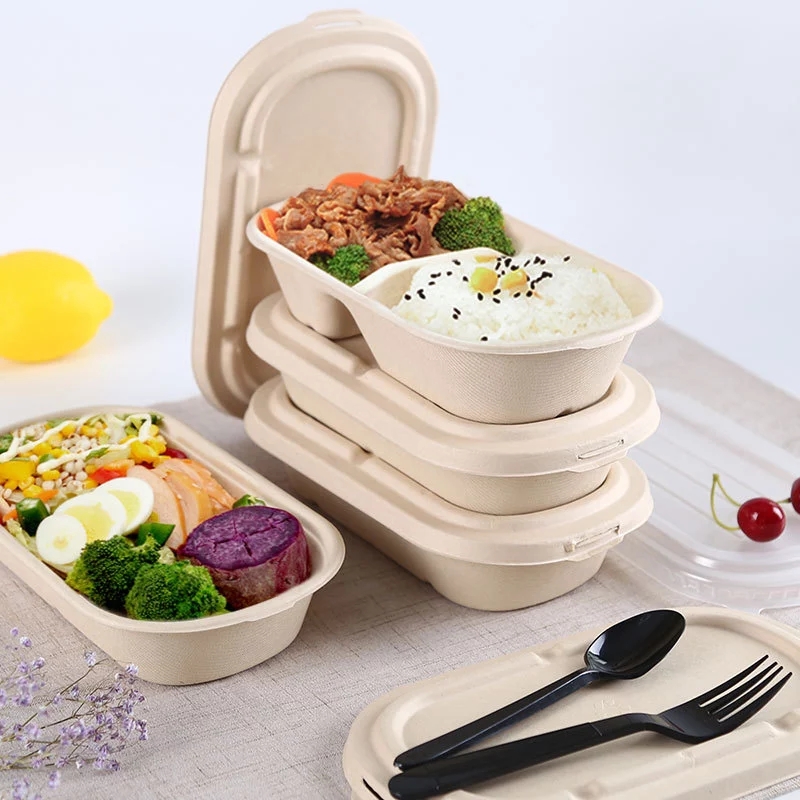 Takeaway fast food packaging boxes bagasse food packaging containers with clear cover compostable sugarcane container